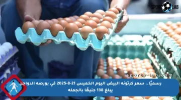 رسميًا.. سعر كرتونة البيض اليوم الخميس 21-8-2025 في بورصة الدواجن يبلغ 138 جنيهًا بالجملة